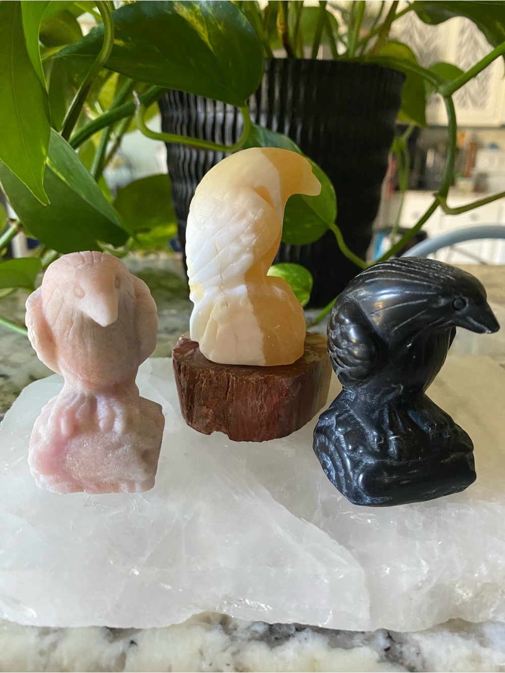 🖤🔮 Ravens, crystals & a little Halloween magic… 🐦⬛✨